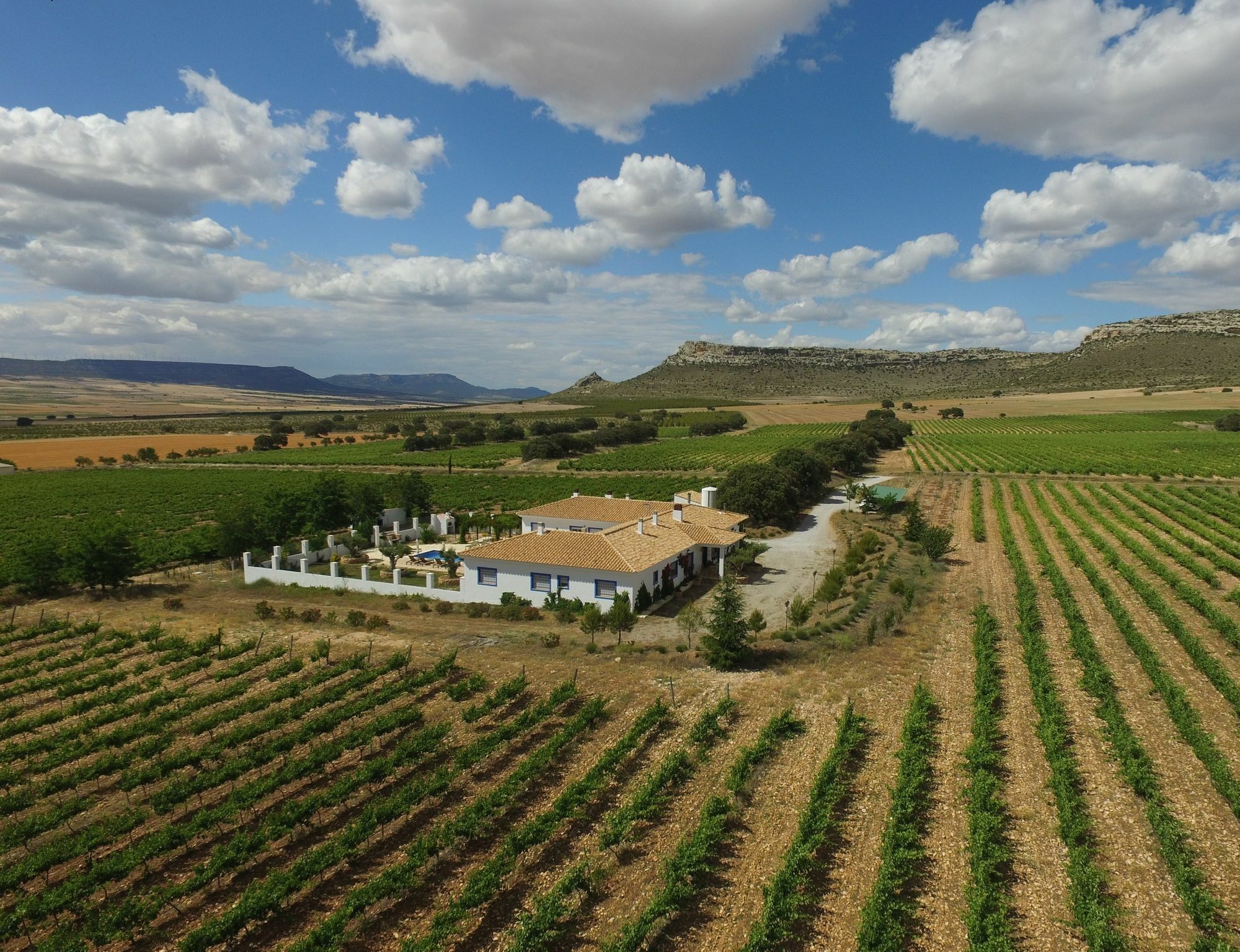 Finca El Romeral Alpera Exterior photo